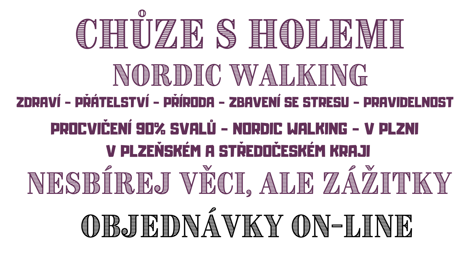 chuze-s-holemi--10-.png