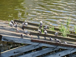 img_4791.jpg